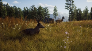 Way of the Hunter, Microsoft Xbox Series X