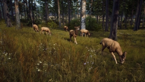 Way of the Hunter, Microsoft Xbox Series X