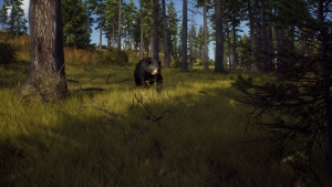 Way of the Hunter, Microsoft Xbox Series X