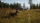 Way of the Hunter, Microsoft Xbox Series X