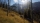 Way of the Hunter, Microsoft Xbox Series X