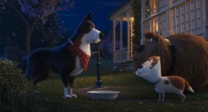 Pets 2 (2019), Blu-Ray