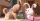 Pets 2 (2019), Blu-Ray