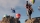 Dakar Desert Rally, Sony PS4