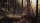 Blair Witch, Sony PS4