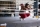 Creed 3 - Rocky´s Legacy Blu-Ray (2023)