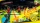 Persona 4 Revival, Microsoft XSX
