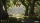 Fable, Microsoft XSX
