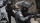 Call of Duty: Modern Warfare 4, Microsoft XSX