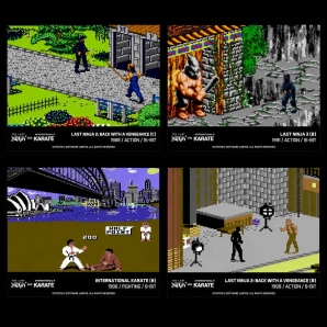 Blaze Evercade The Last Ninja and IK Collection