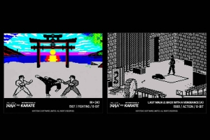 Blaze Evercade The Last Ninja and IK Collection