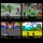 Blaze Evercade The Last Ninja and IK Collection