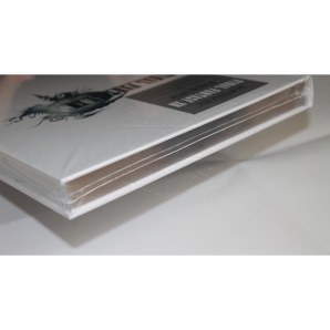 Final Fantasy 13 XIII offiz Dt. L&ouml;sungsbuch Limited Collectors Edition mit Silberkanten/Silberschnitt