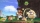 Super Mario Odyssey, Nintendo Switch