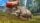 Zoo Tycoon: Ultimate Animal Collection, PC