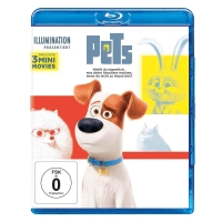 Pets (2016)